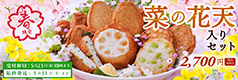 2025菜の花天入りセット