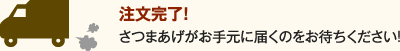 注文完了！さつまあげがお手元に届くのをお待ちください